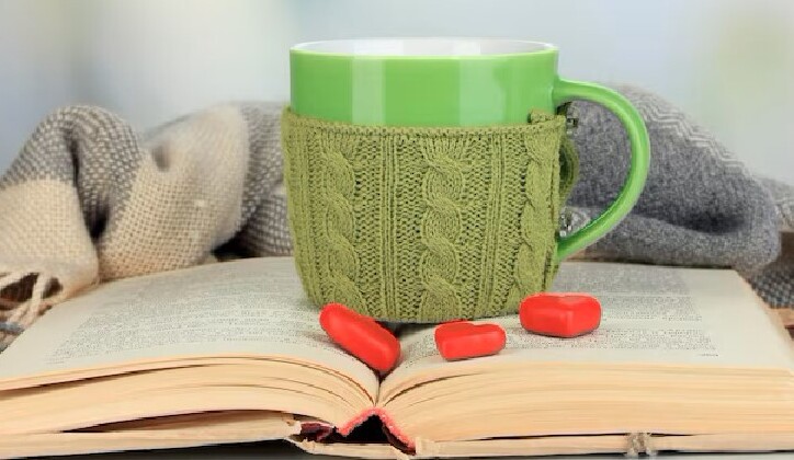 A Day in The Life Of A Green Tea Enthusiast - Evening