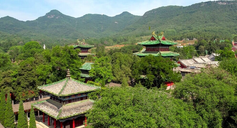 Green Tea and Martial Arts Song Mountains